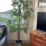 Delightful Airy In Leafy St Andrews Апартаменты Бристоль