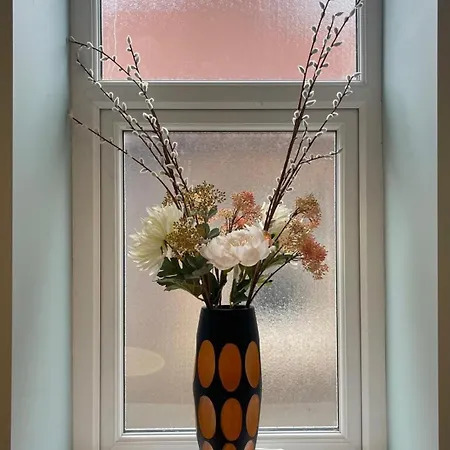 Delightful Airy In Leafy St Andrews Bristol