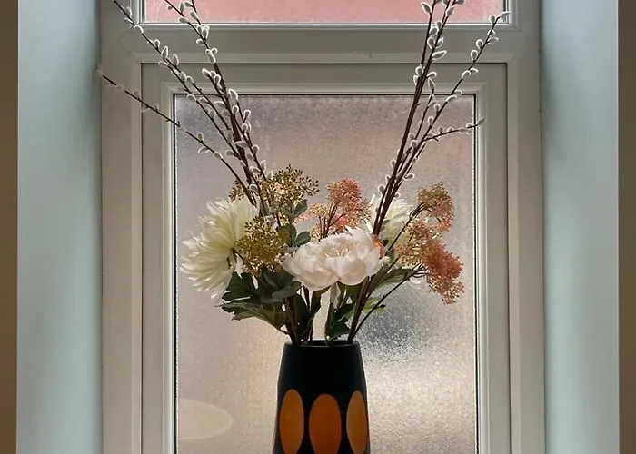 Delightful Airy In Leafy St Andrews Bristol