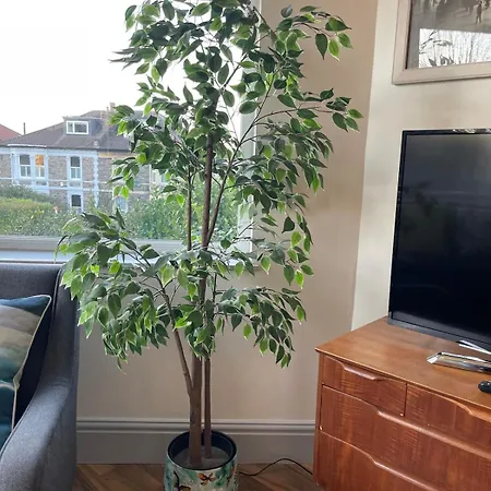 Delightful Airy In Leafy St Andrews דירה בריסטול