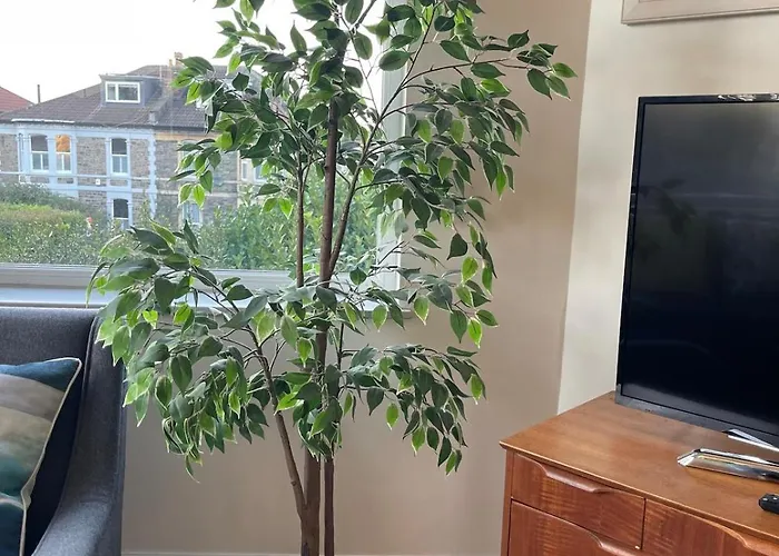 Delightful Airy In Leafy St Andrews דירה בריסטול